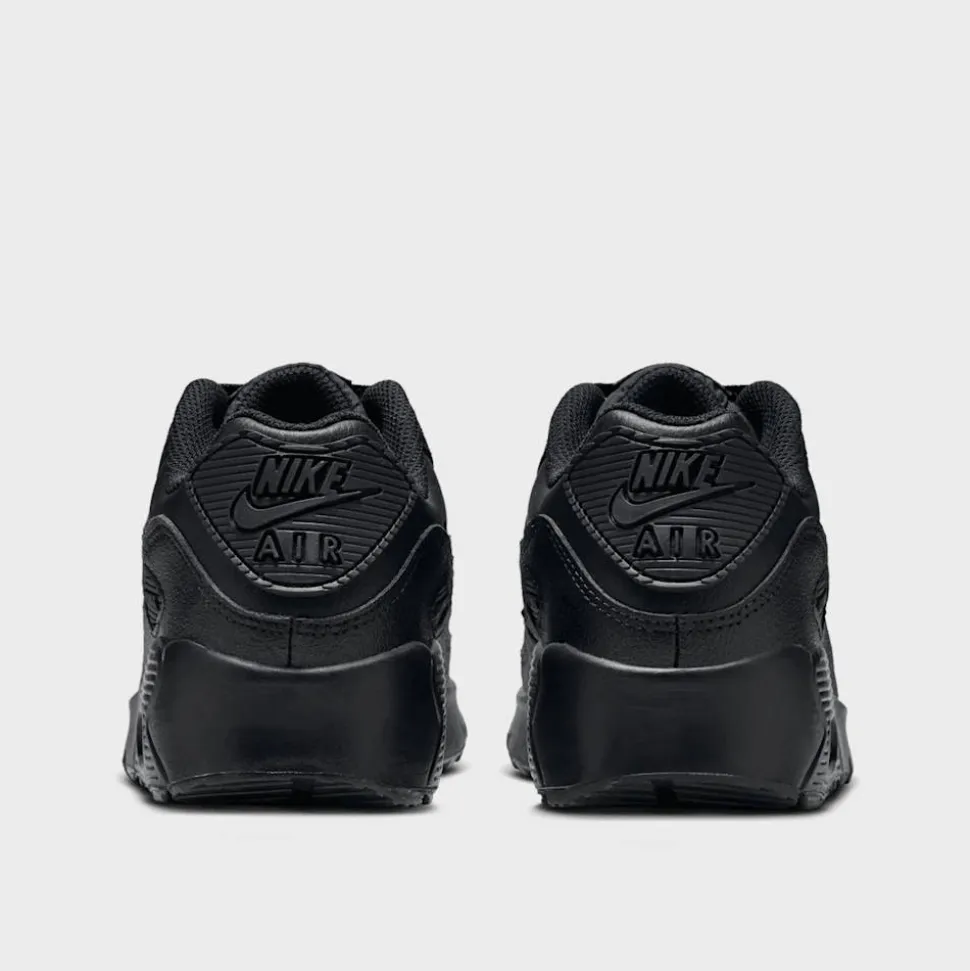Air Max 90 LTR (GS)