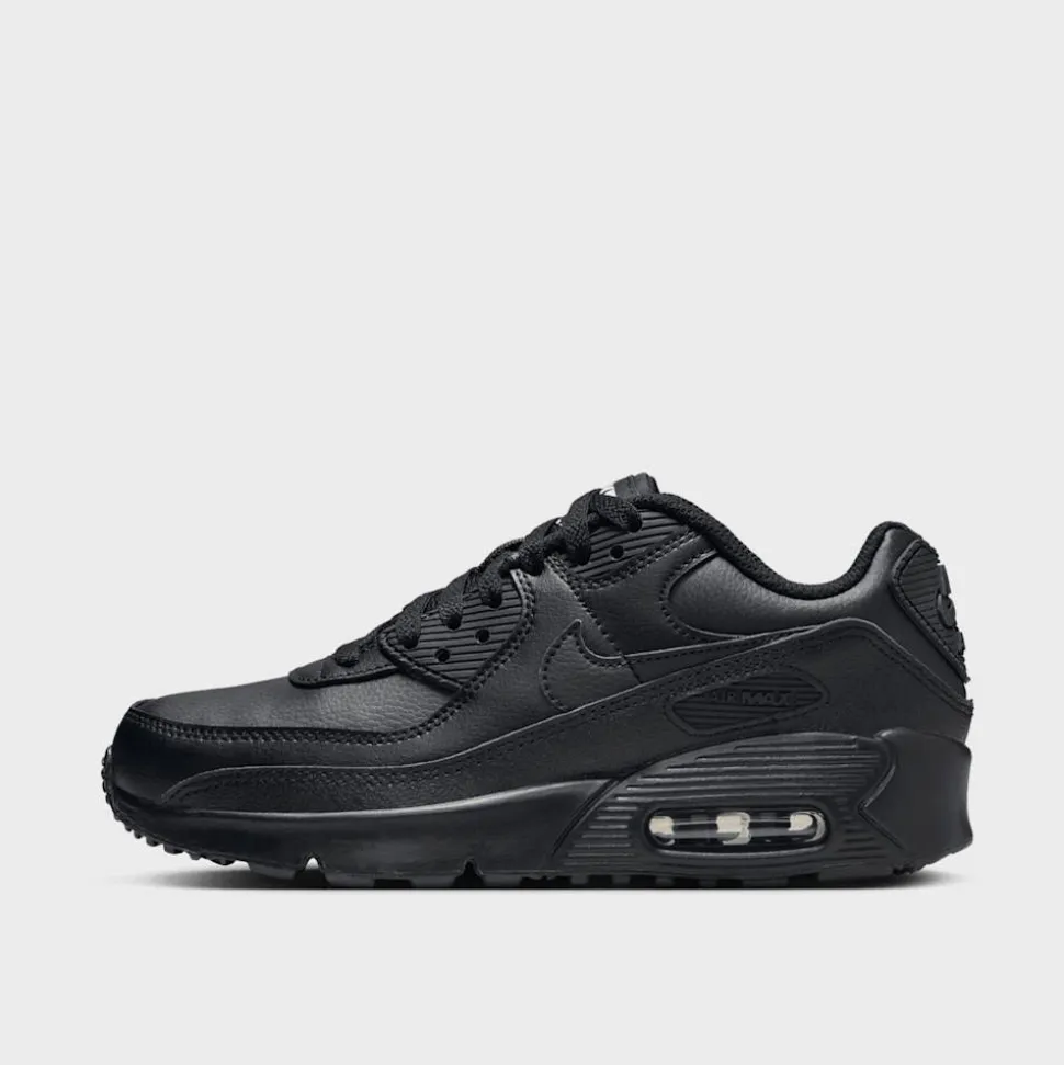 Air Max 90 LTR (GS)