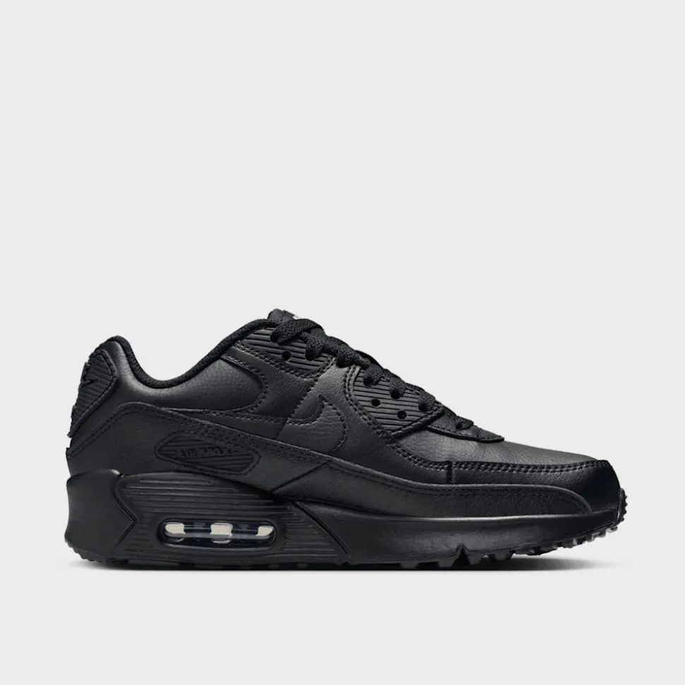 Air Max 90 LTR (GS)