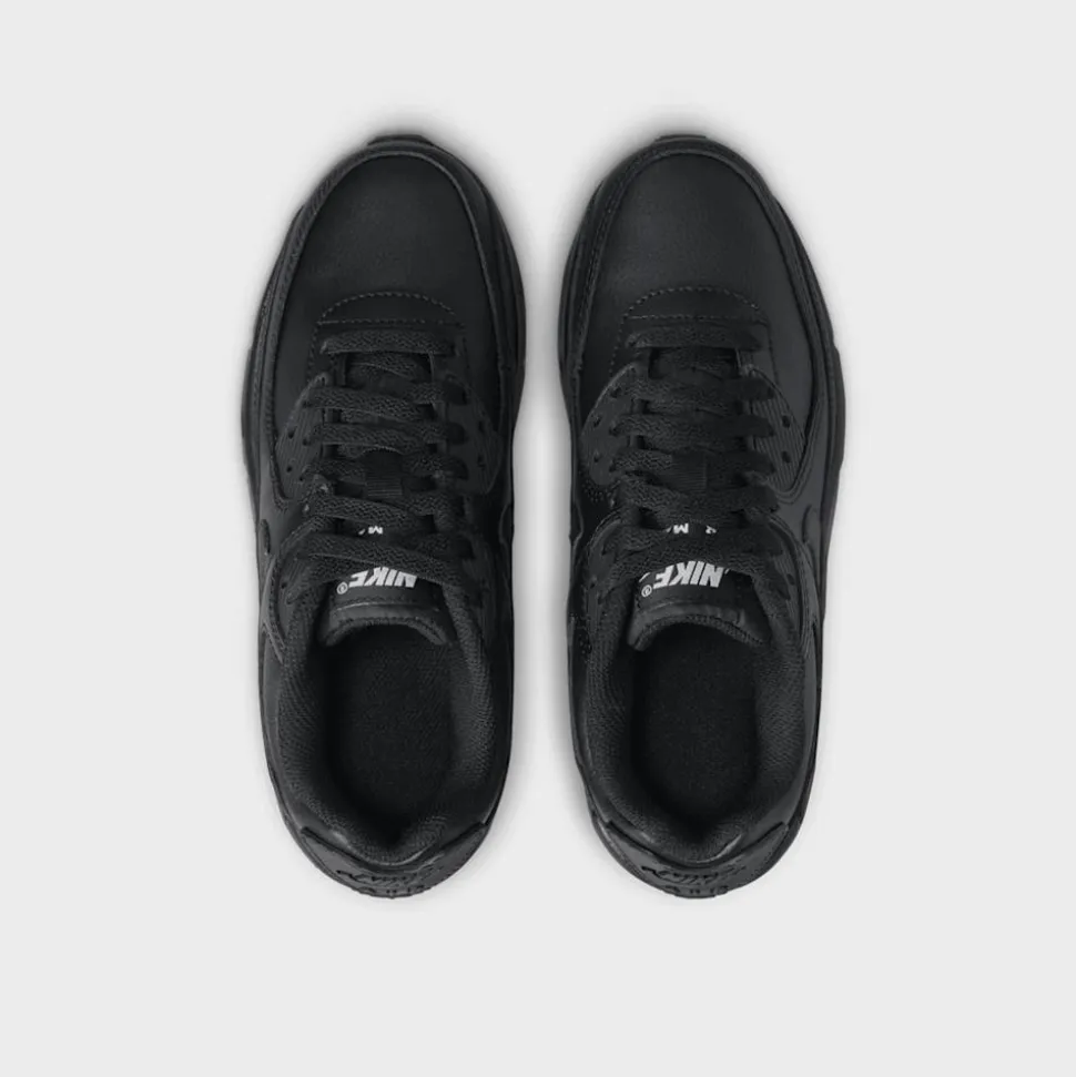 Air Max 90 LTR (GS)