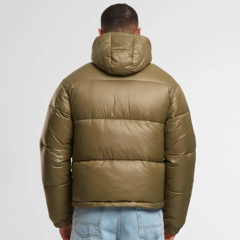 Boys Shiny Puffer Jacket With Hood