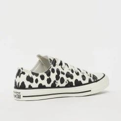 Chuck Taylor All Star