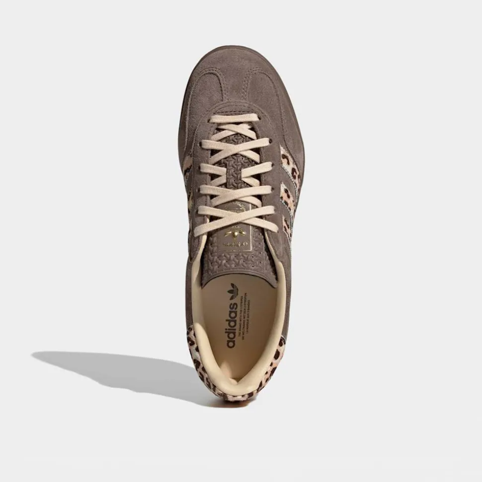 Gazelle Indoor