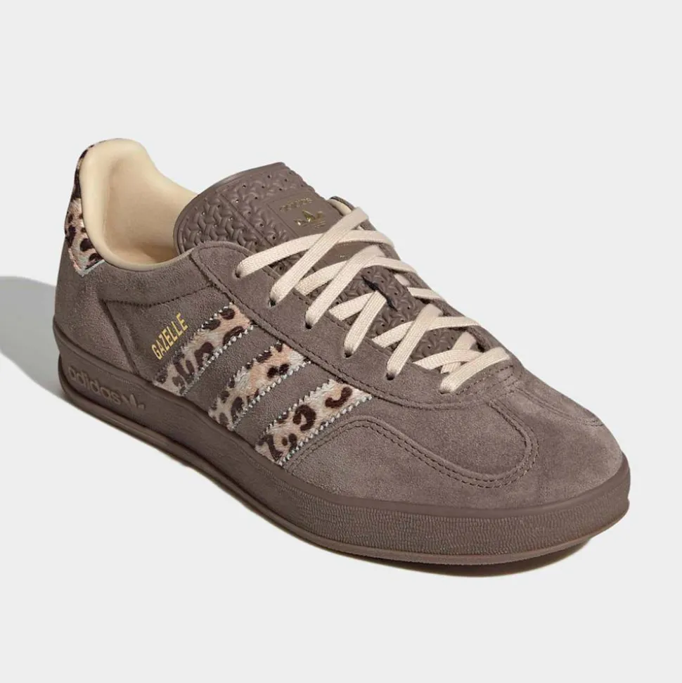 Gazelle Indoor