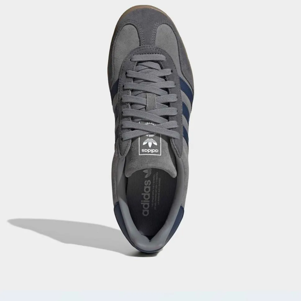 Gazelle Indoor