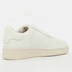 Masters CRT Low