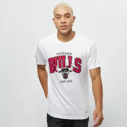 NBA Chicago Bulls Team Arch