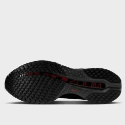 Nike Pegasus Premium