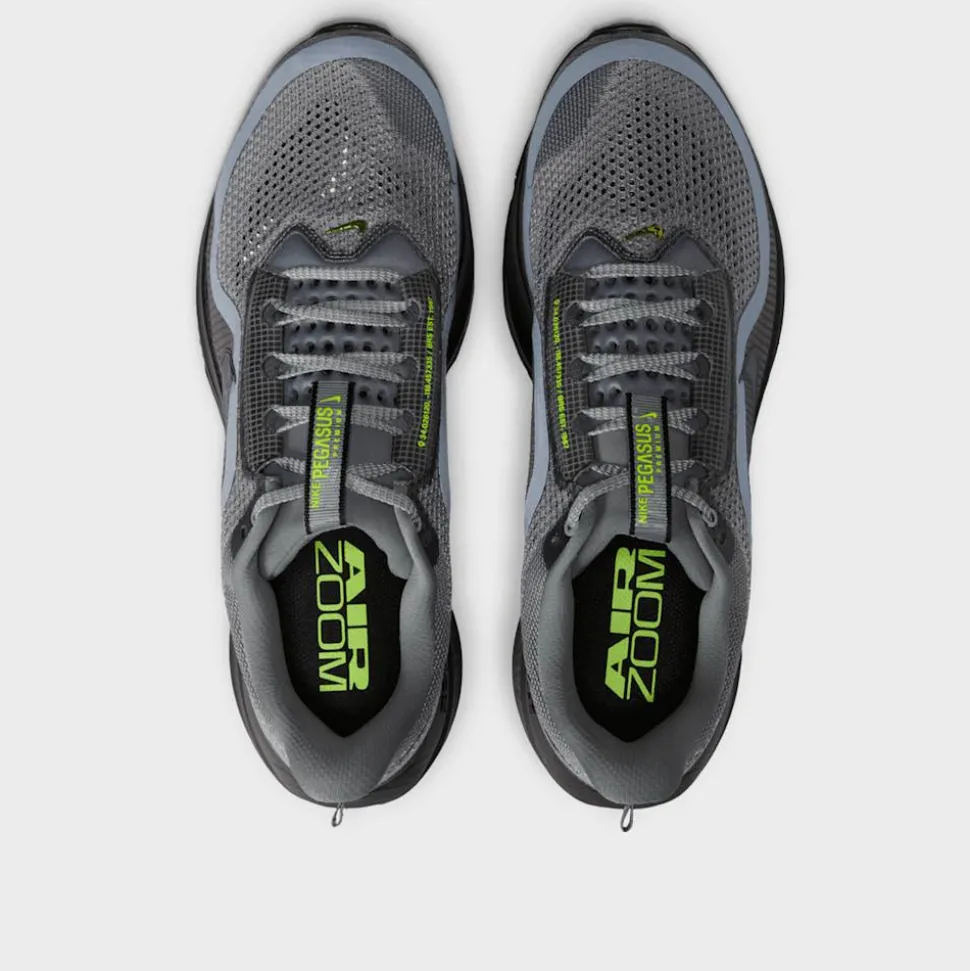 Nike Pegasus Premium