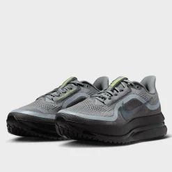 Nike Pegasus Premium