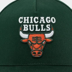 Pro Crown NBA Chicago Bulls