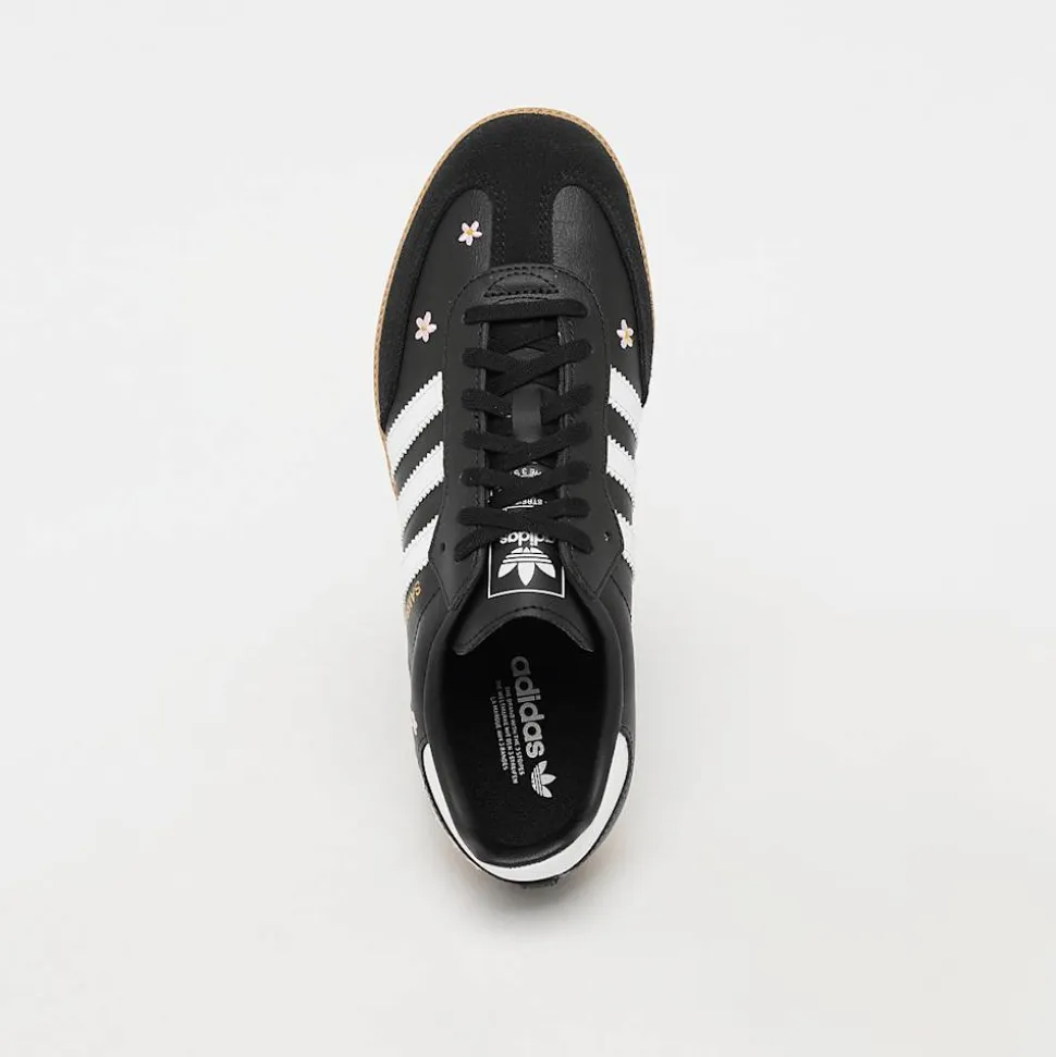 Samba OG (GS)