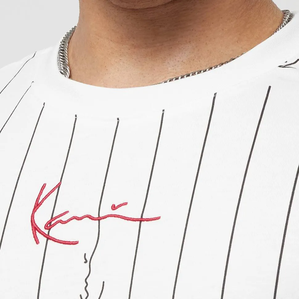 Small Signature Logo Pinstripe Tee