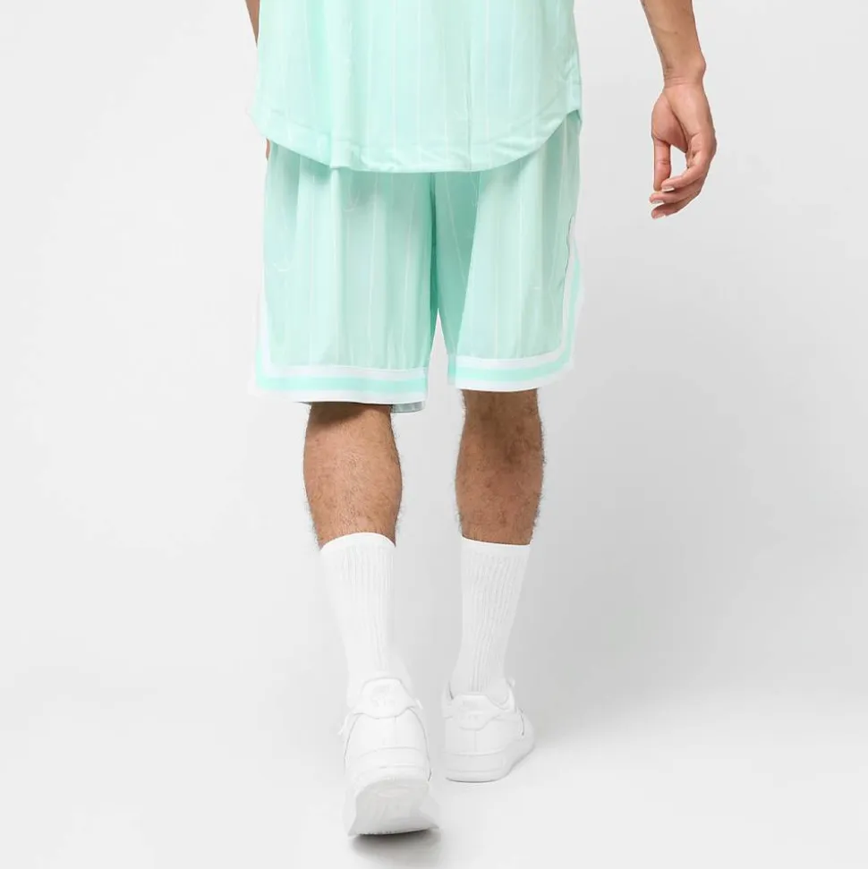Small Varsity Logo Pinstripe Mesh Shorts
