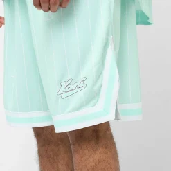 Small Varsity Logo Pinstripe Mesh Shorts