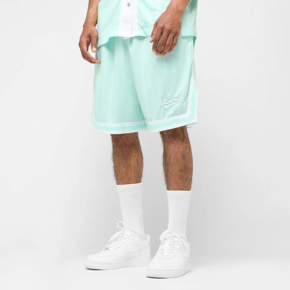 Small Varsity Logo Pinstripe Mesh Shorts