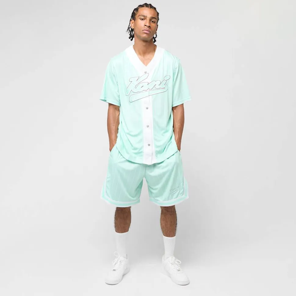 Small Varsity Logo Pinstripe Mesh Shorts