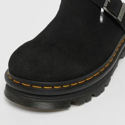 ZebZag Mule